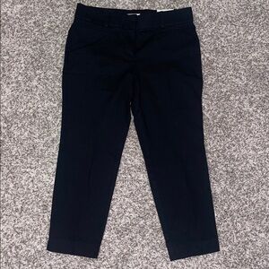 Ann Taylor Loft the Riviera Pant Cropped Marisa Fit Ankle Pants size 10 NWT